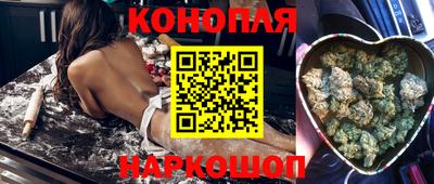 стафф Будённовск