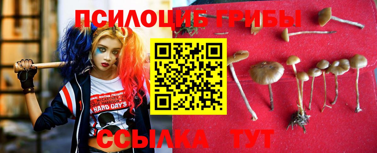 Муравленко  Псилоцибиновые грибы ЛСД  Вход с VPN 